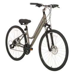 LadyCruz Disc (Bronze)