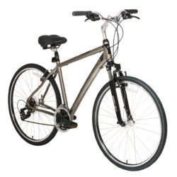 Urbanite (Bronze)